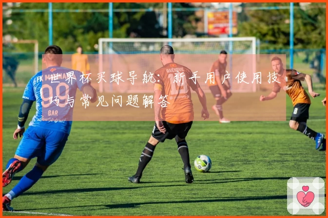 世界杯买球导航：新手用户使用技巧与常见问题解答