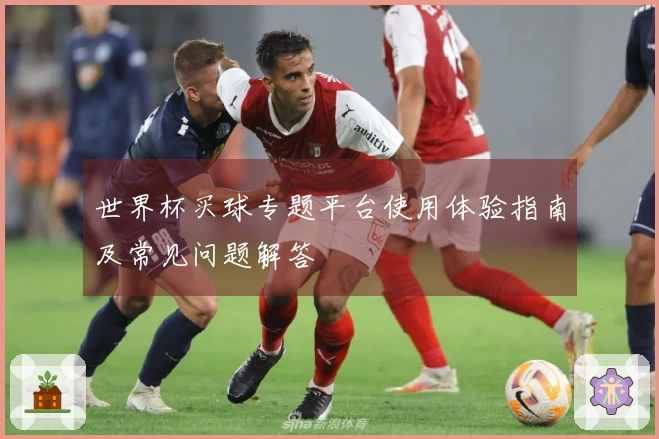 世界杯买球专题平台使用体验指南及常见问题解答