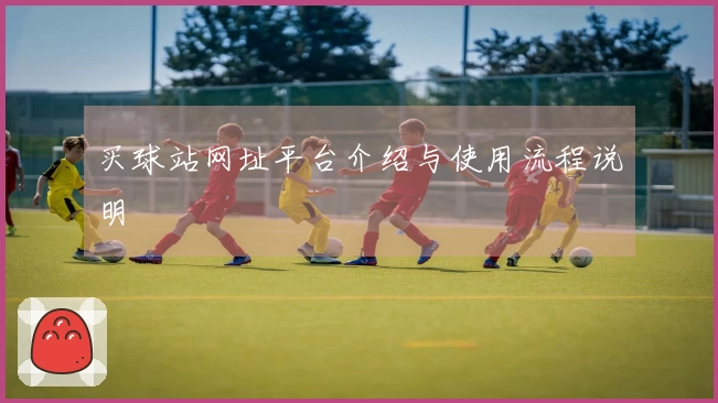 买球站网址平台介绍与使用流程说明