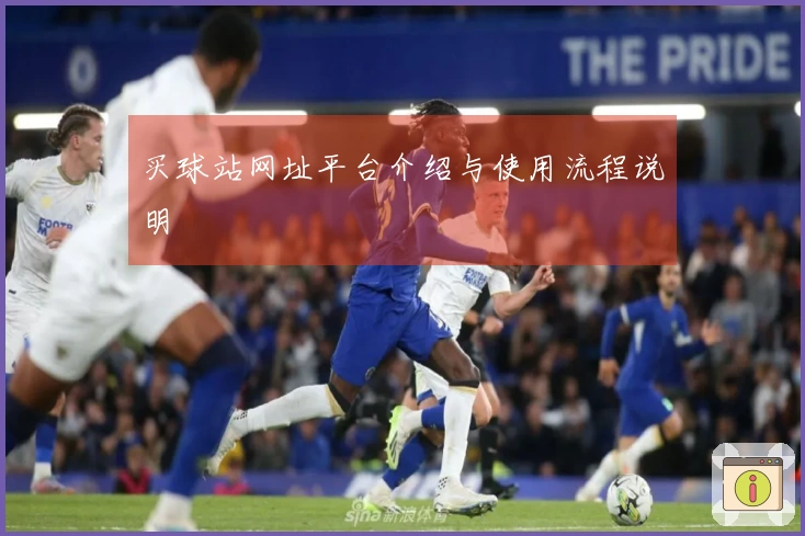 买球站网址平台介绍与使用流程说明