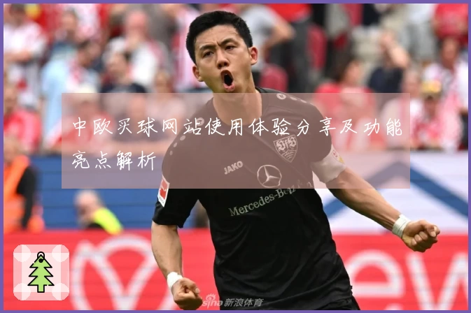 中欧买球网站使用体验分享及功能亮点解析