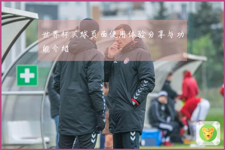 世界杯买球页面使用体验分享与功能介绍