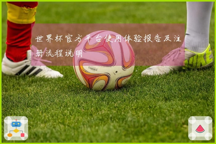 世界杯官方平台使用体验报告及注册流程说明