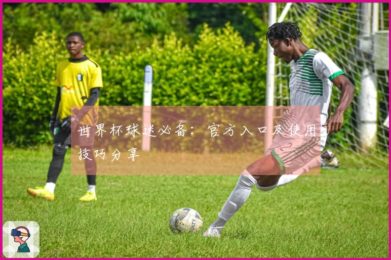 世界杯球迷必备：官方入口及使用技巧分享