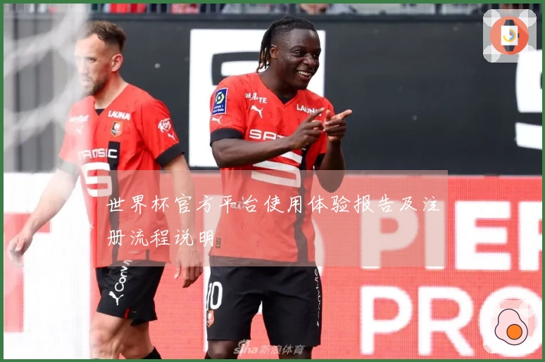 世界杯官方平台使用体验报告及注册流程说明