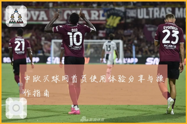 中欧买球网首页使用体验分享与操作指南